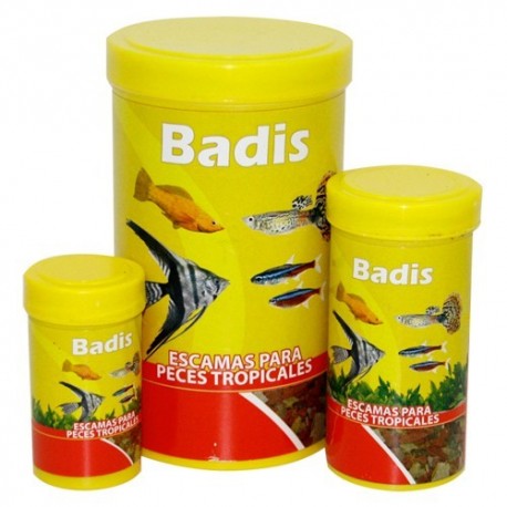 Badis escama para peces tropicales