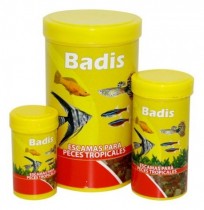 Badis escama para peces tropicales