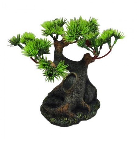 Duvo bonsai decoración acuario