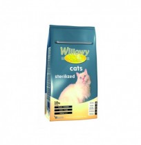 Willowy Gold Cats Sterilized (gato esterilizado)