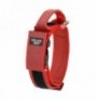 Collar julius-k9 con asa rojo - color & gray