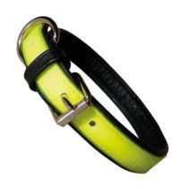 Collar fosforescente julius-k9 idc lumino