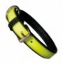 Collar fosforescente julius-k9 idc lumino
