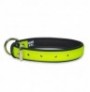 Collar fosforescente julius-k9 idc lumino