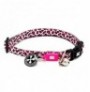Max & molly collar leopardo rosa para gatos