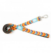 Max & molly correa summertime para perros