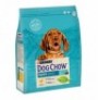 Dog Chow Puppy de Pollo para cachorros