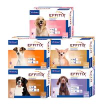 Effitix 4 pipetas antiparasitarias para perros