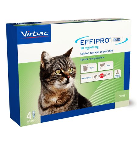 Caja 4 Pipetas Effipro duo para gatos contra pulgas y garrapatas