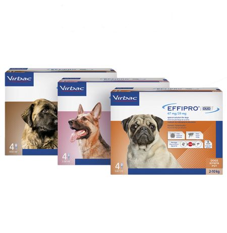 Vista frontal Pipetas Effipro duo de 4 unidades para perros contra pulgas y garrapatas
