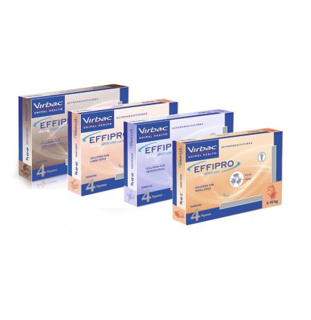 Todos los formatos de Effipro de 4 pipetas antiparasitarias para perros