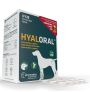 Nuevo diseño Hyaloral condroprotector para razas grandes y gigantes de 120 comprimidos