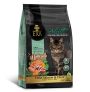 Pienso ERA grain free Salmon & Duck para gatos adultos