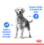 Royal canin maxi light weight care para perros