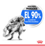 Royal canin maxi light weight care para perros