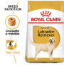 Royal canin labrador retriever adult