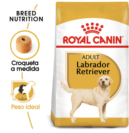 Royal canin labrador retriever adult