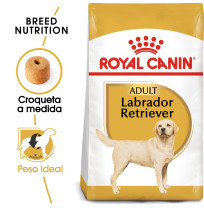 Royal canin labrador retriever adult