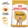 Royal canin caniche adult