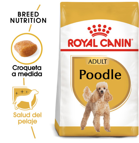 Royal canin caniche adult
