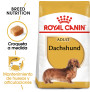 Royal canin teckel adult