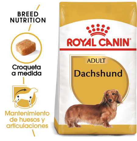 Royal canin teckel adult