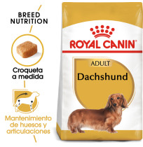 Royal canin teckel adult