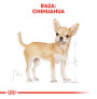 Royal canin chihuahua adult