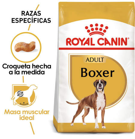 Royal canin boxer adult