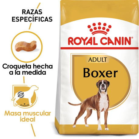 Royal canin boxer adult
