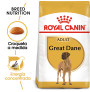 Royal canin gran danés adult