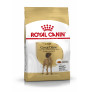 Royal canin gran danés adult