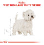 Royal canin westie adult