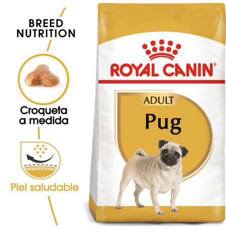 Royal canin carlino adult