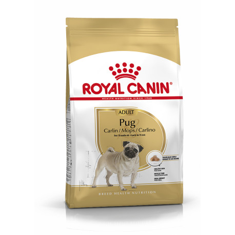 Royal canin carlino adult