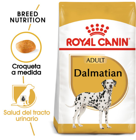 Royal canin dálmata adult
