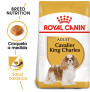 Royal canin cavalier king charles adult