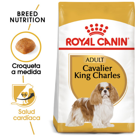 Royal canin cavalier king charles adult