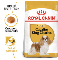 Royal canin cavalier king charles adult