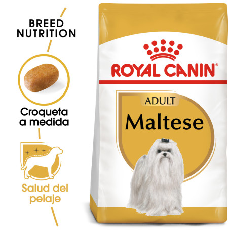 Royal canin bichón maltés adult