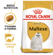 Royal canin bichón maltés adult