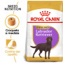 Royal canin labrador retriever adult sterilised