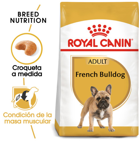 Royal canin bulldog francés adult