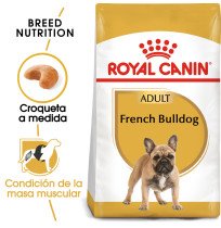 Royal canin bulldog francés adult