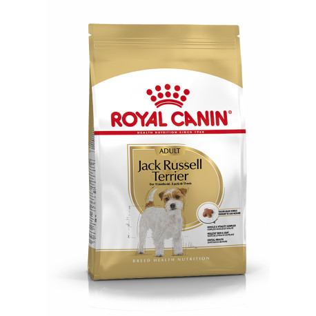 Royal canin jack russell adult