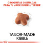Royal canin jack russell adult