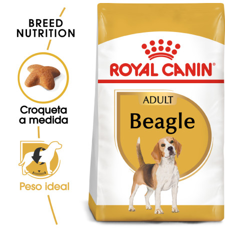 Royal canin beagle adult