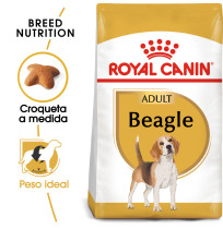 Royal canin beagle adult