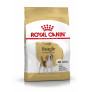 Royal canin beagle adult