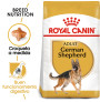 Royal canin pastor alemán adult